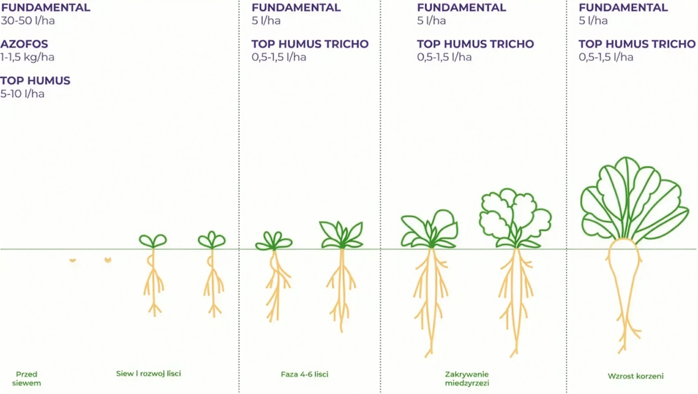 top humus bbch burak