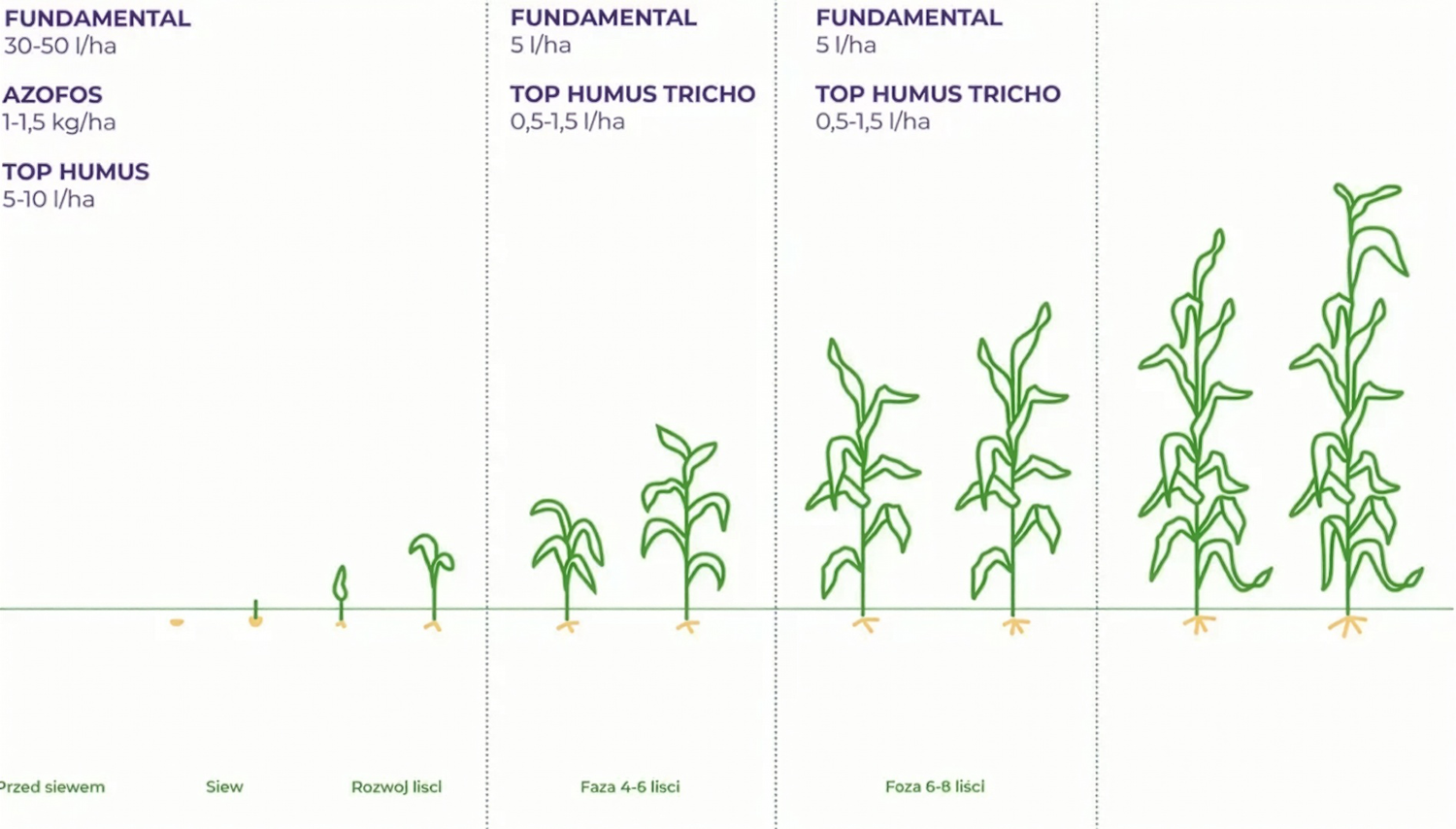 top humus bbch kukurydza