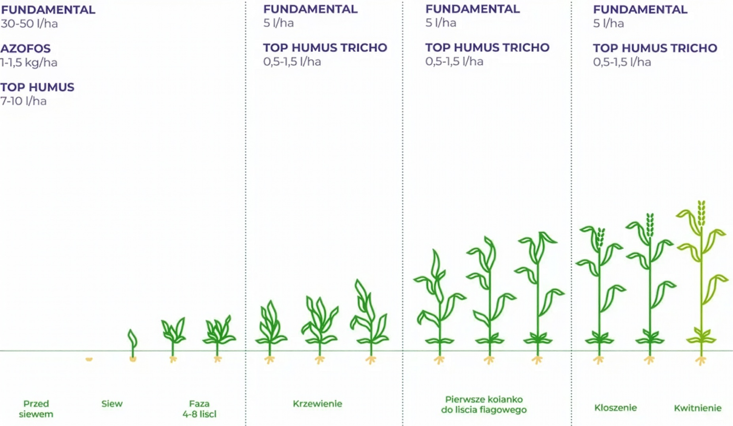 top humus bbch zboże jare